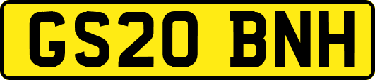 GS20BNH