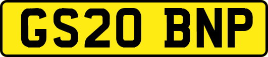 GS20BNP