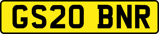 GS20BNR