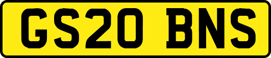 GS20BNS