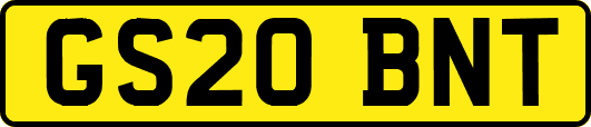 GS20BNT