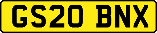 GS20BNX
