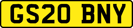 GS20BNY