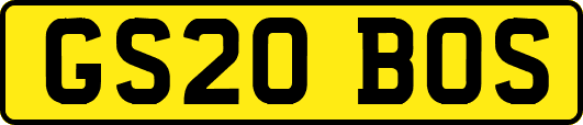 GS20BOS