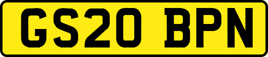 GS20BPN