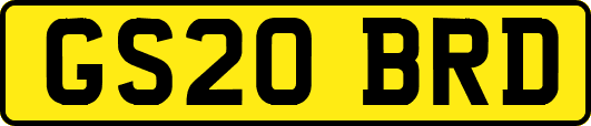 GS20BRD