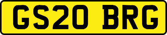 GS20BRG