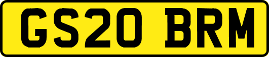 GS20BRM