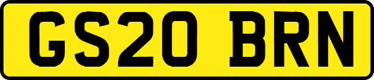 GS20BRN