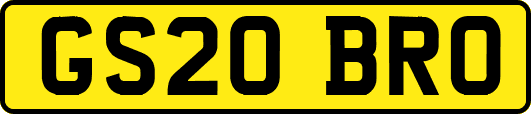 GS20BRO