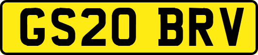 GS20BRV