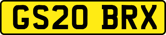 GS20BRX