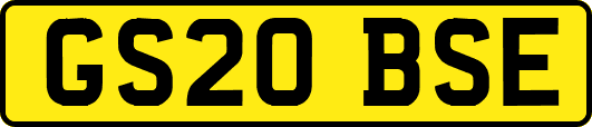 GS20BSE