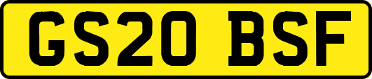 GS20BSF