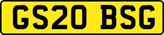 GS20BSG