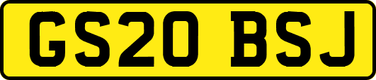 GS20BSJ