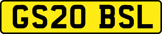 GS20BSL