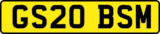 GS20BSM