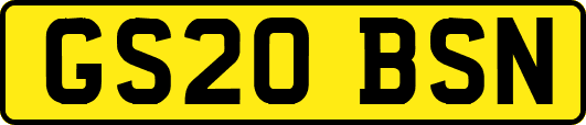 GS20BSN