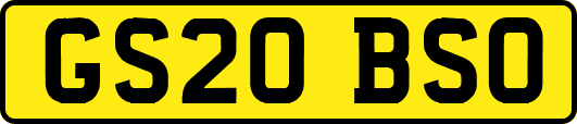 GS20BSO