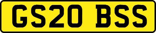 GS20BSS