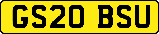 GS20BSU