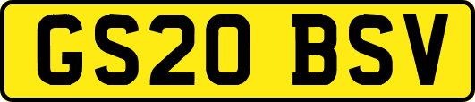 GS20BSV