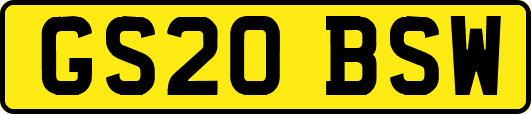 GS20BSW
