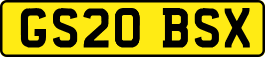 GS20BSX