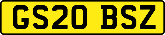 GS20BSZ