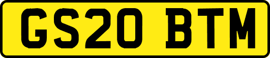 GS20BTM