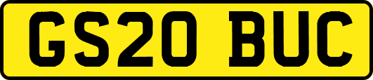 GS20BUC