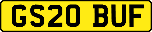 GS20BUF