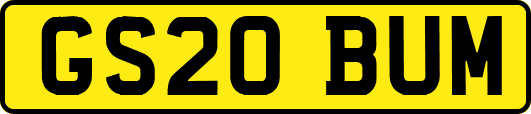 GS20BUM