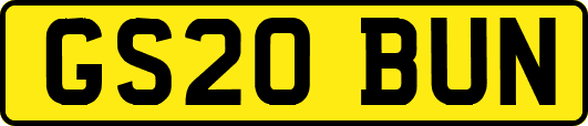 GS20BUN