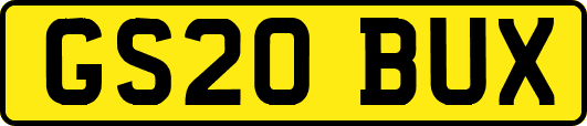 GS20BUX