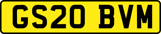 GS20BVM