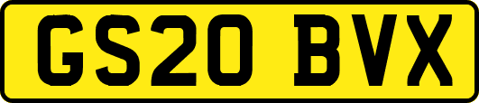 GS20BVX