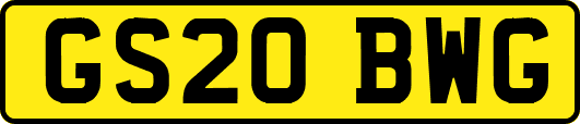 GS20BWG