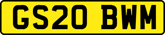 GS20BWM