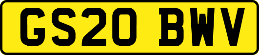 GS20BWV