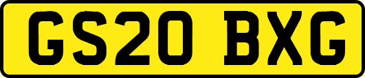 GS20BXG