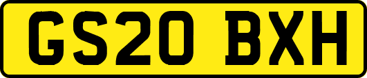 GS20BXH