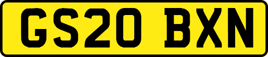 GS20BXN