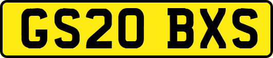 GS20BXS