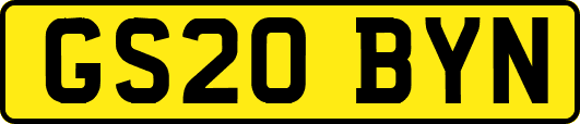GS20BYN