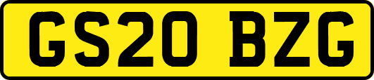 GS20BZG