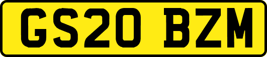 GS20BZM