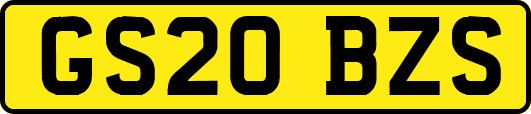 GS20BZS