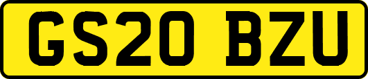 GS20BZU